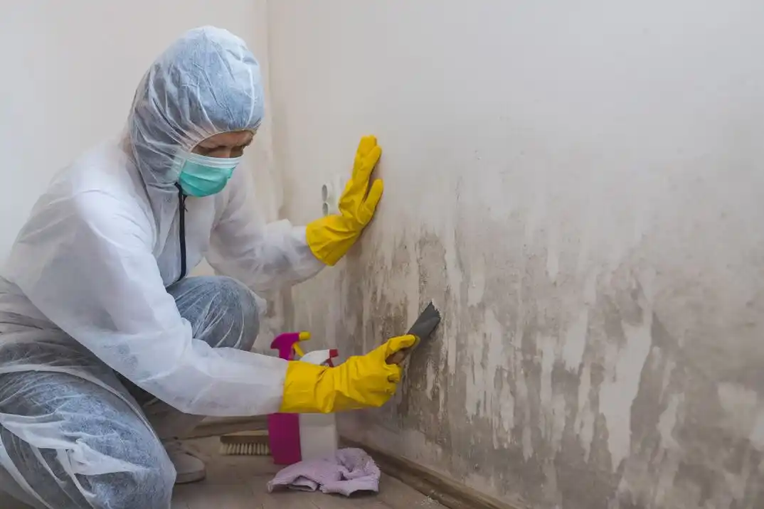 water damage restoration service Colonial Estates